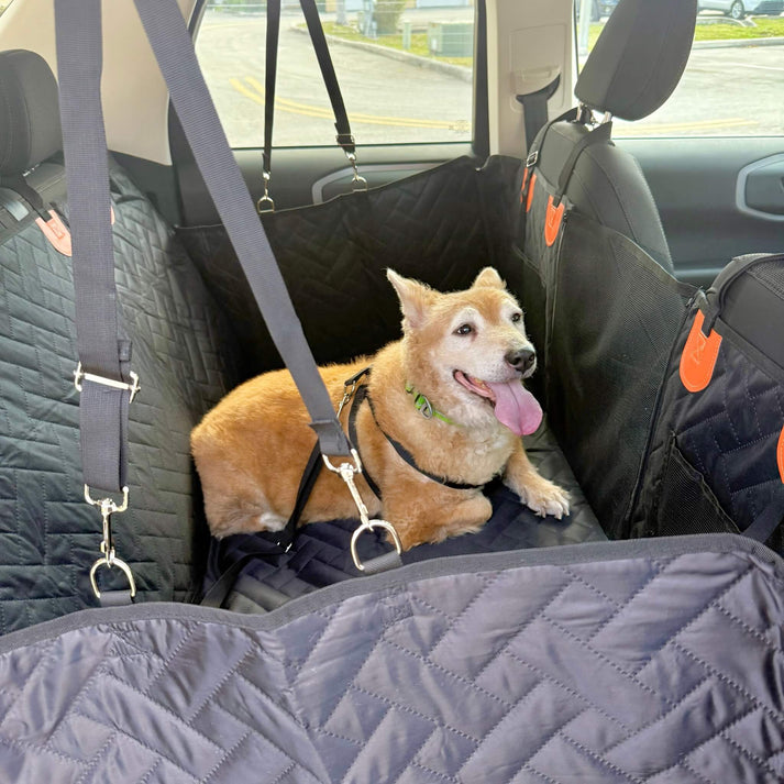 Hard Bottom Dog Car Seat Cover